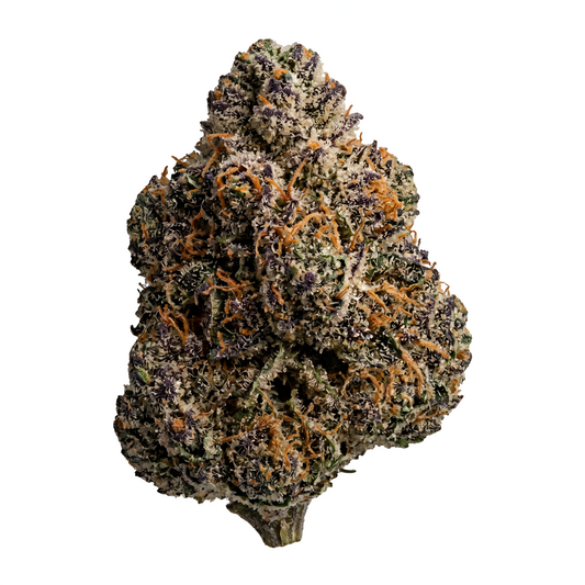 ORANGE ZKITTLEZ - HIGH FLOWER