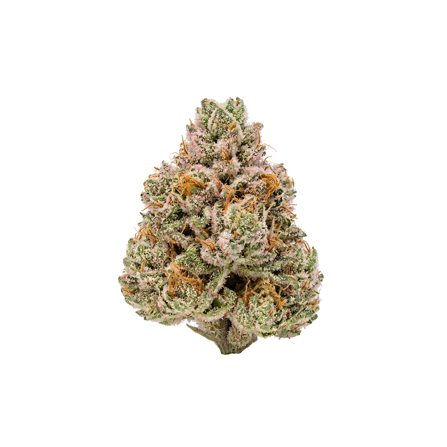 GIRLS SCOUT COOKIES - HIGH FLOWER