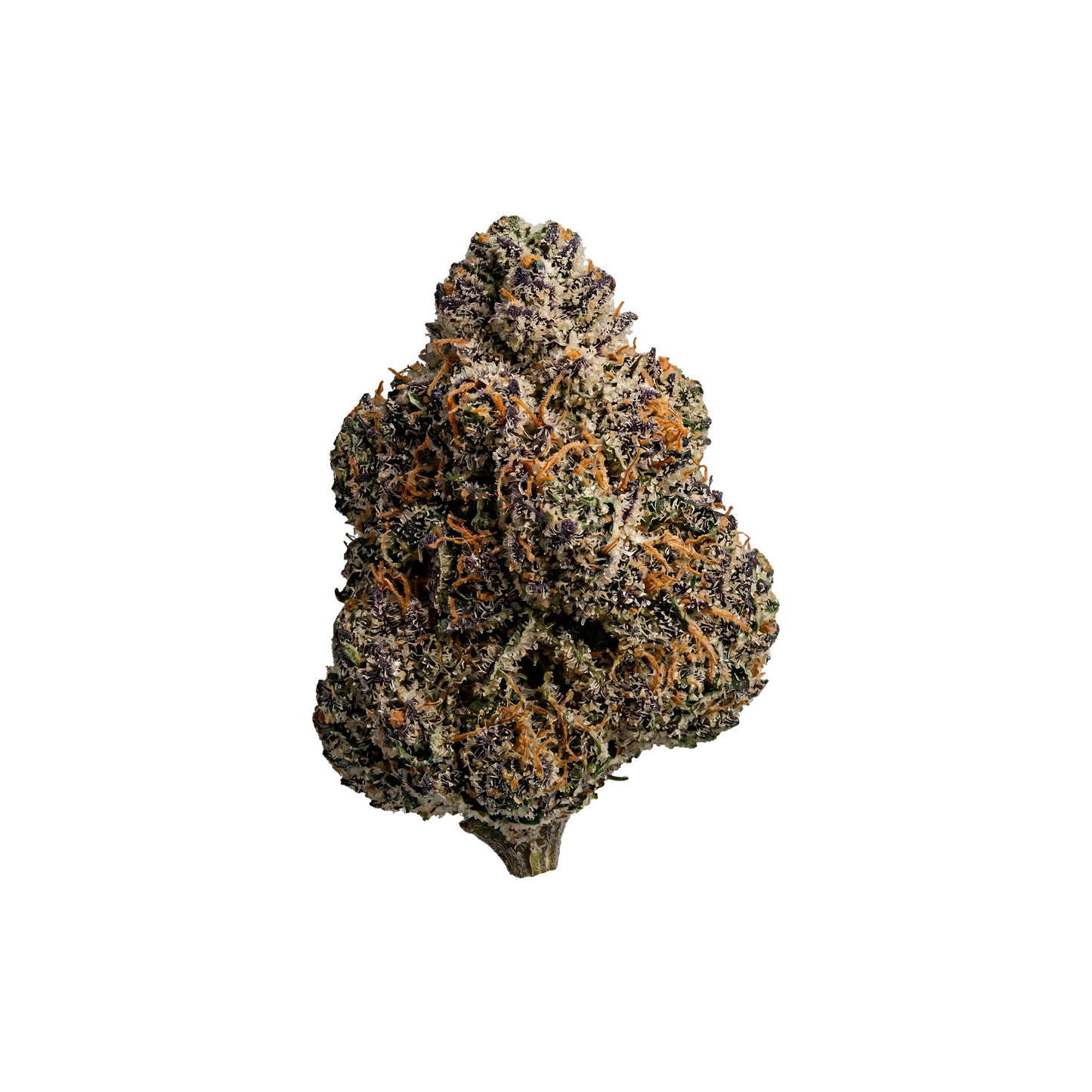 ORANGE ZKITTLEZ - HIGH FLOWER