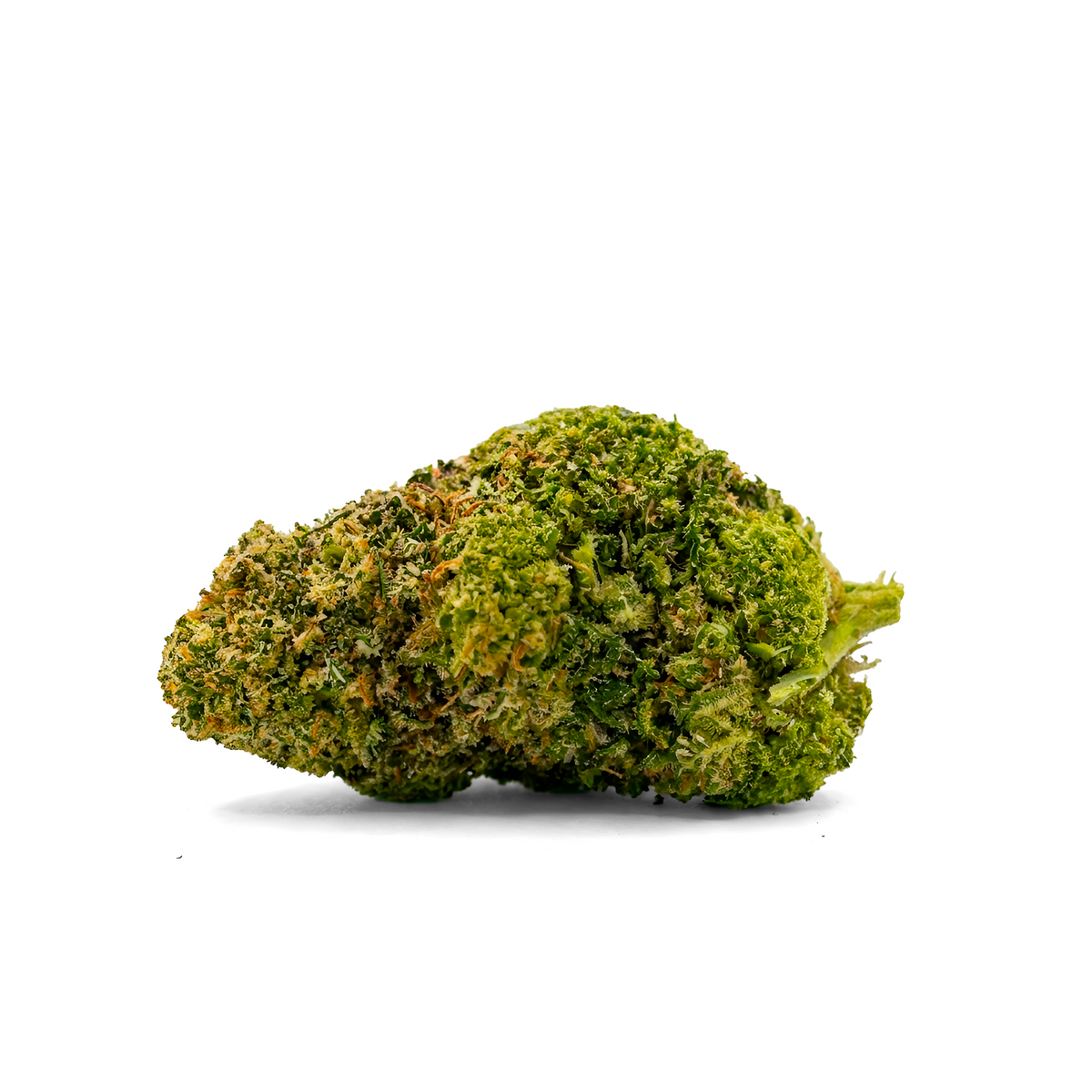 AMNESIA ZKITTLEZ - THC-X