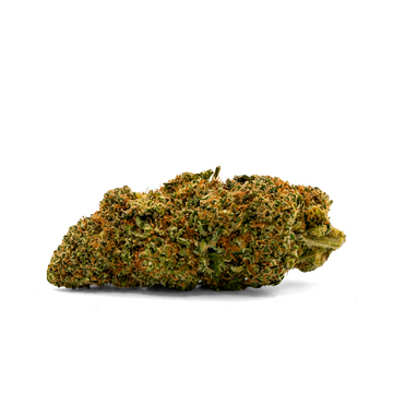 GELATO COOKIES - THC-X