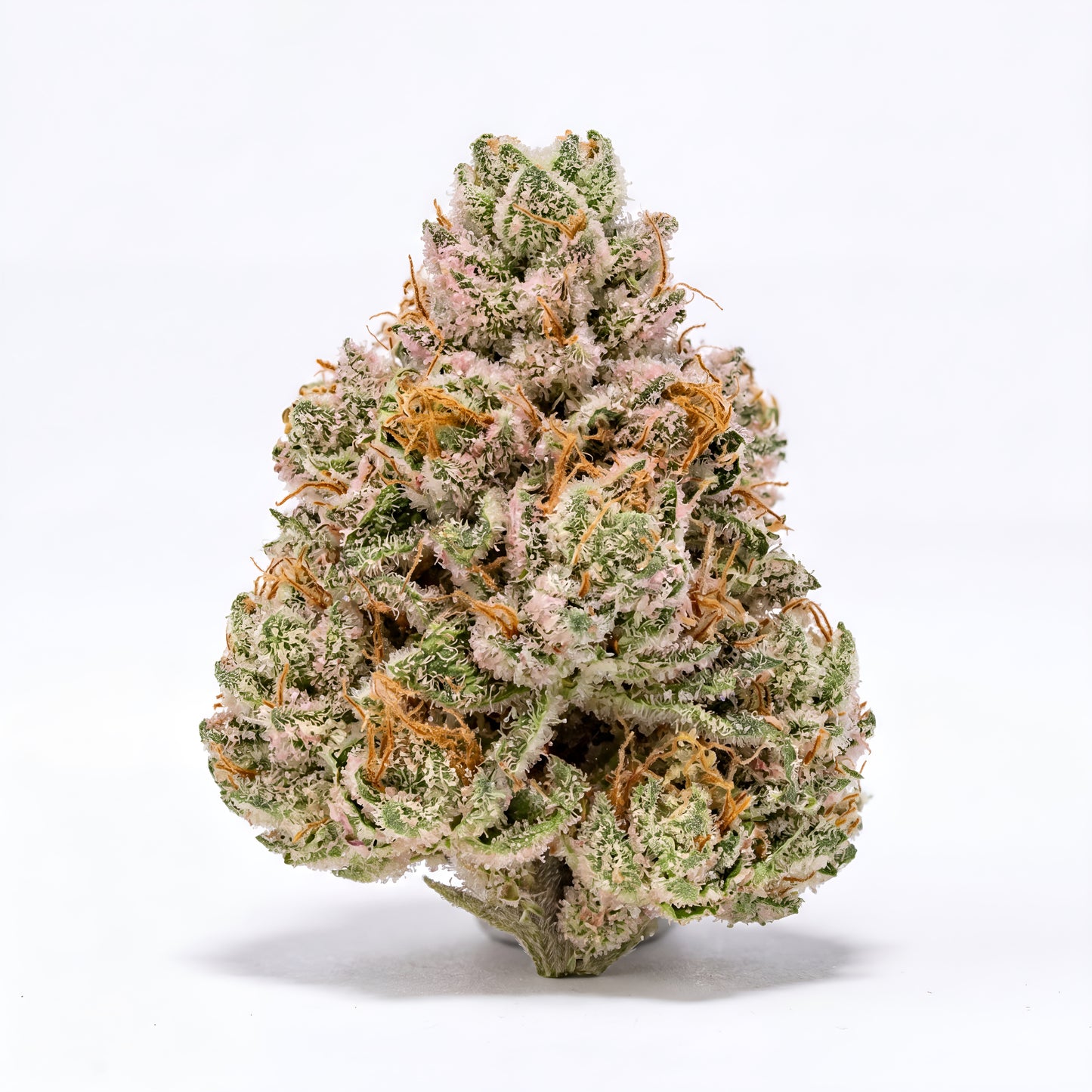 GIRLS SCOUT COOKIES - HIGH FLOWER