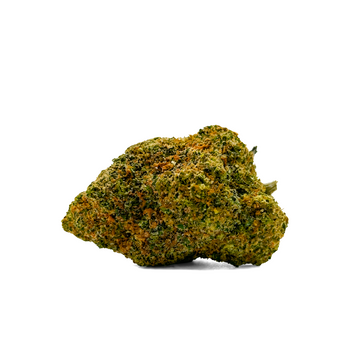 MIMOSA PUNCH - THC-X
