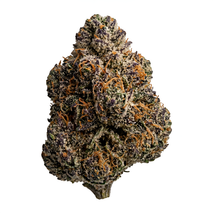 ORANGE ZKITTLEZ - HIGH FLOWER