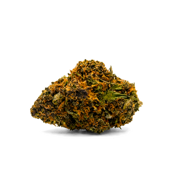 PURPLE QUEEN - THC-X