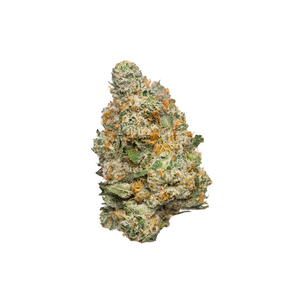 APPLE FRITTER - HIGH FLOWER