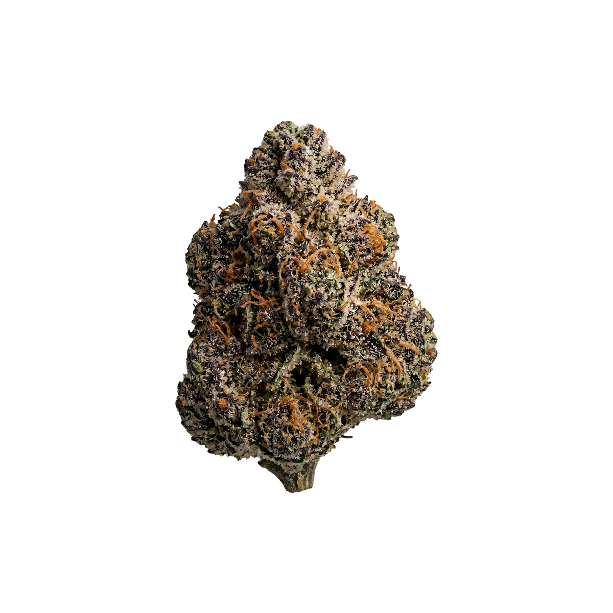 ORANGE ZKITTLEZ - THC-X