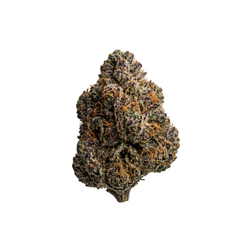 ORANGE ZKITTLEZ - THC-X